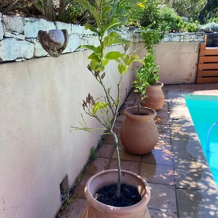 Serenite & Vue Sur サン・フロラン