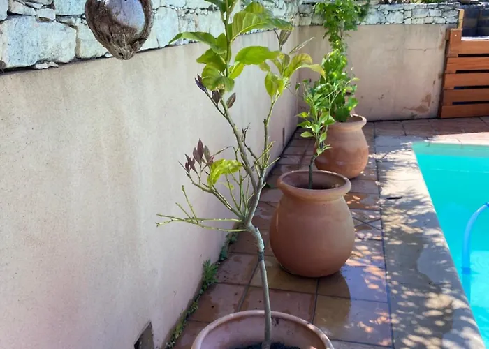 Sérénité&vue Sur Saint-Florent (Corsica)